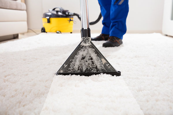 Tips for Choosing the Right Carpet Steam Cleaning Company in Sydney