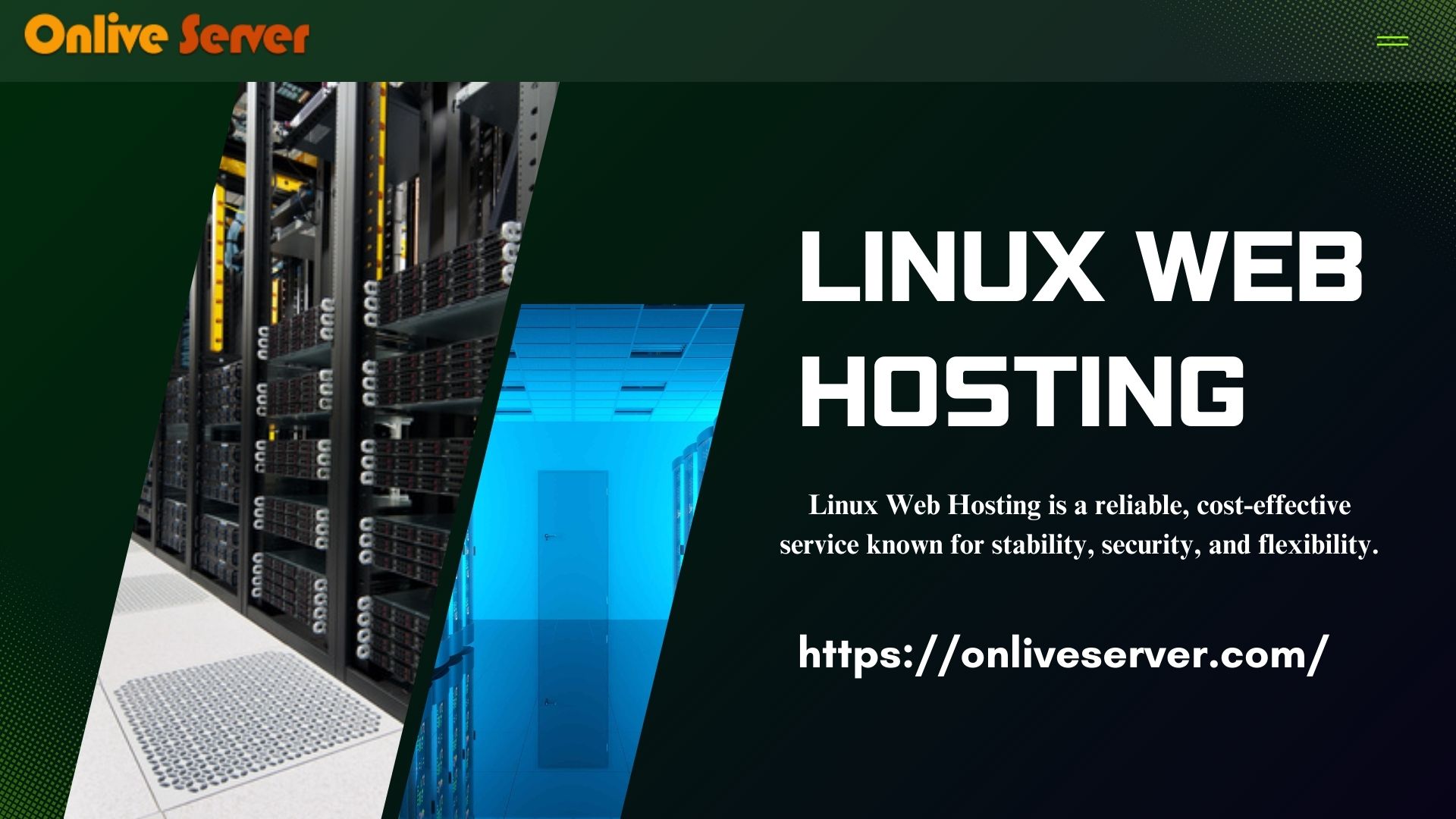 Linux Web Hosting