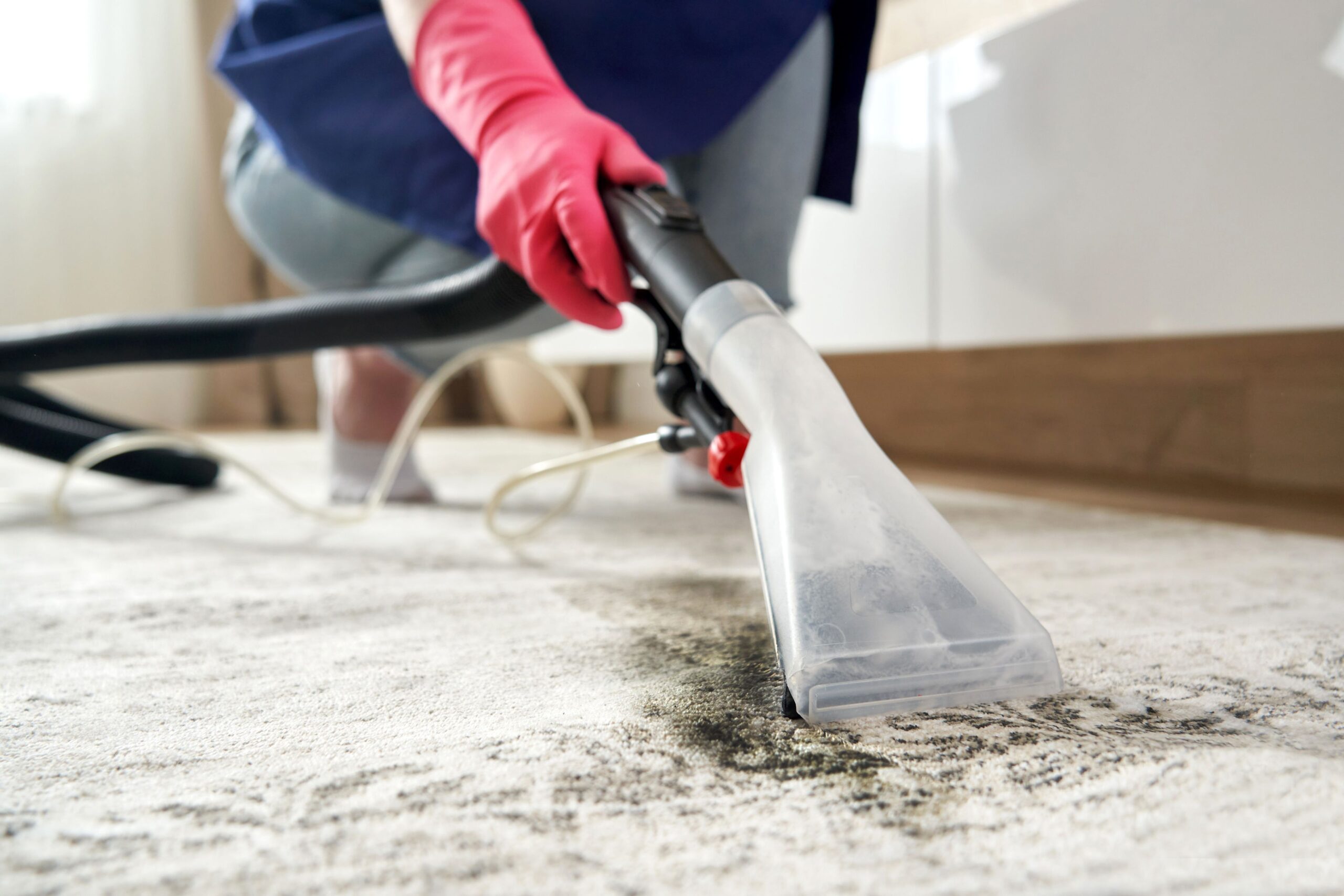 Carpet Cleaning Services