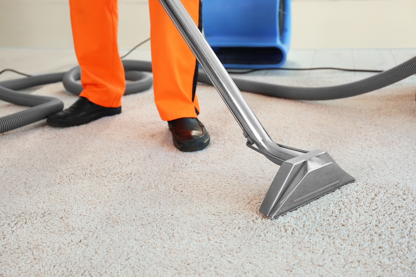 Dry cleaner's employee removing dirt from carpet in flat