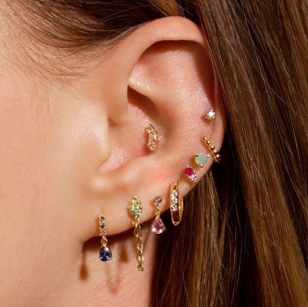 Earrings