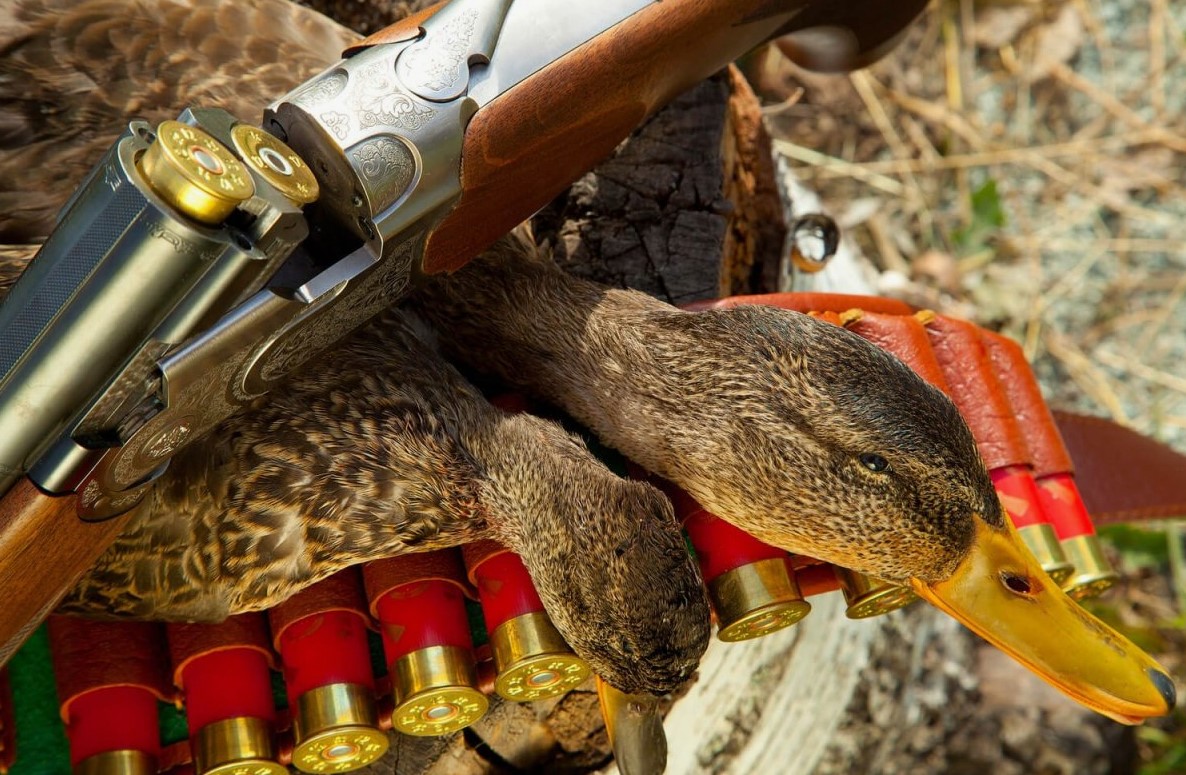 Health Benefits of Fowl Hunting: Physical and Mental Wellness