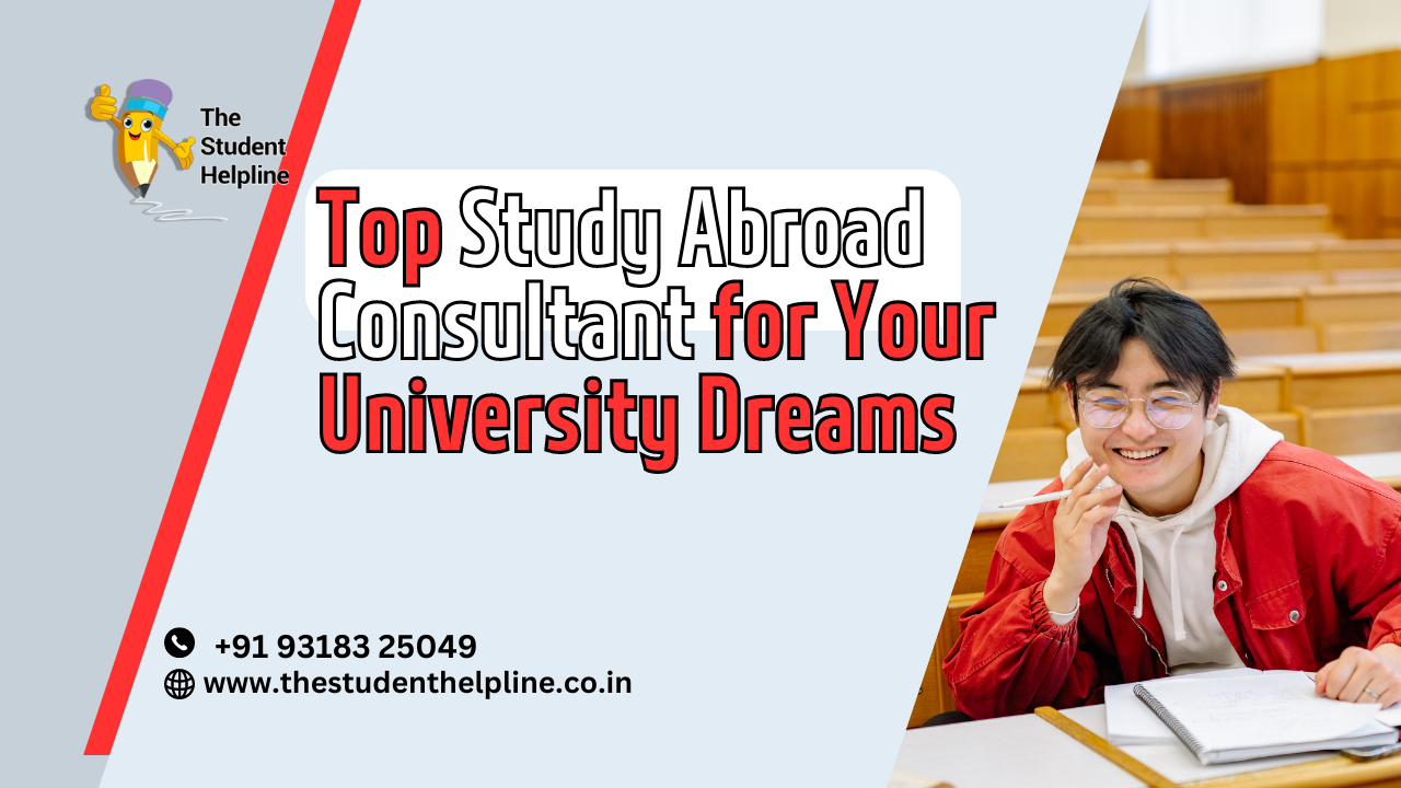 study abroad consultant