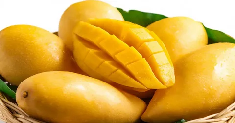 Buy Export Quality Chaunsa Mango