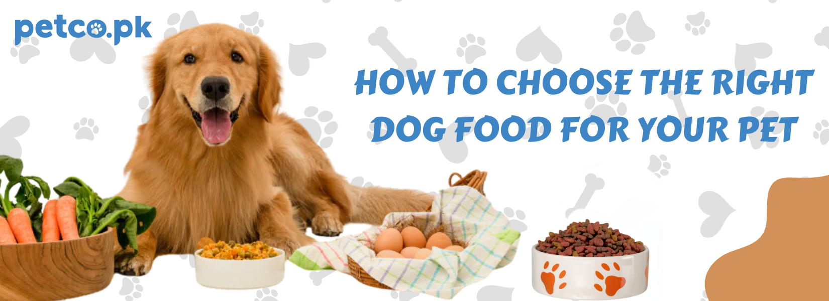 How to Choose the Right Dog Food for Your Pet