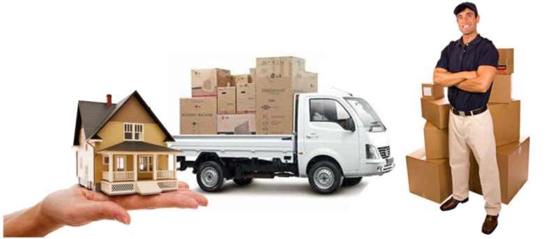 International Moving Company Bay Area