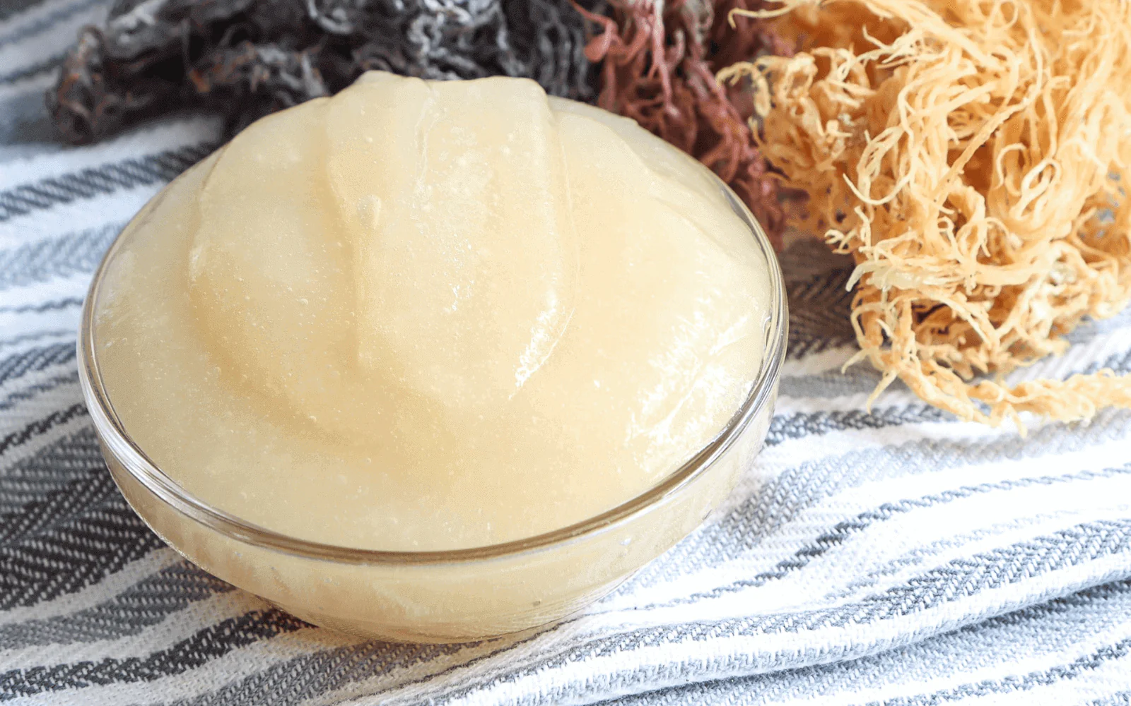 Sea moss gel