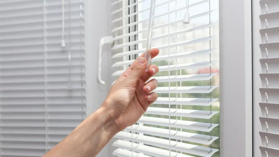 Window Blinds in Halifax