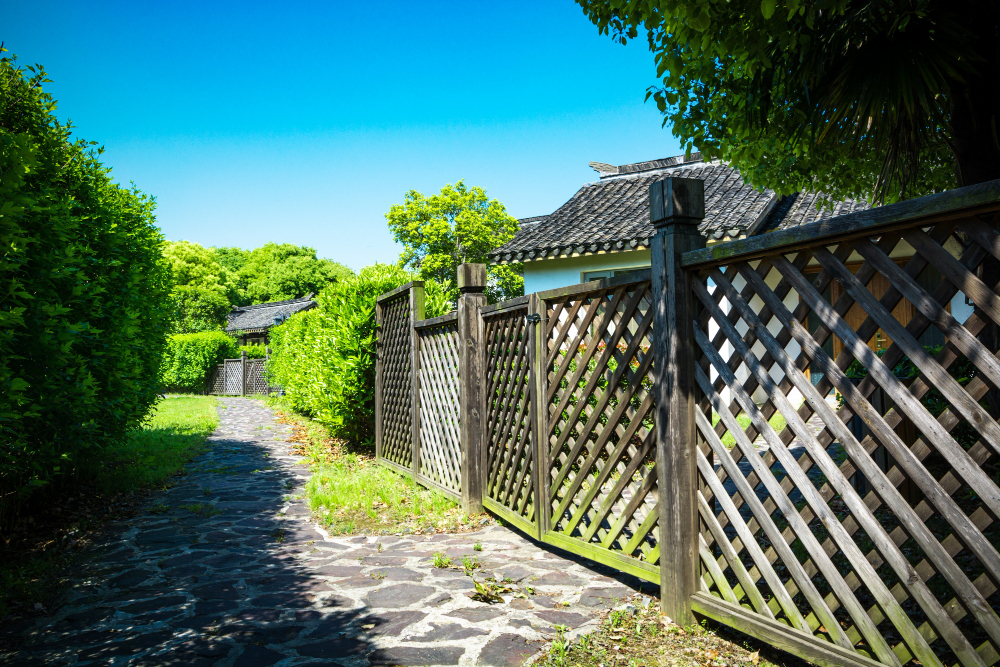 Iron Fences