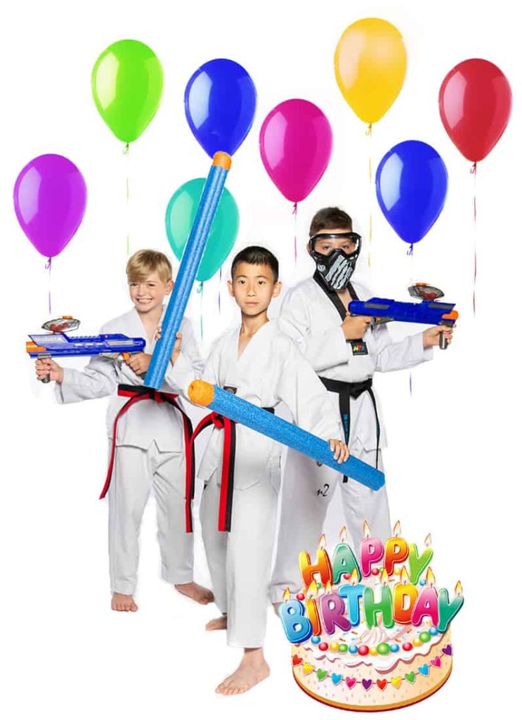 Martial Arts Birthday Party in Oakville