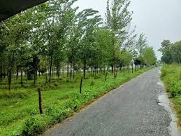 Plots for Sale in Rudrapur