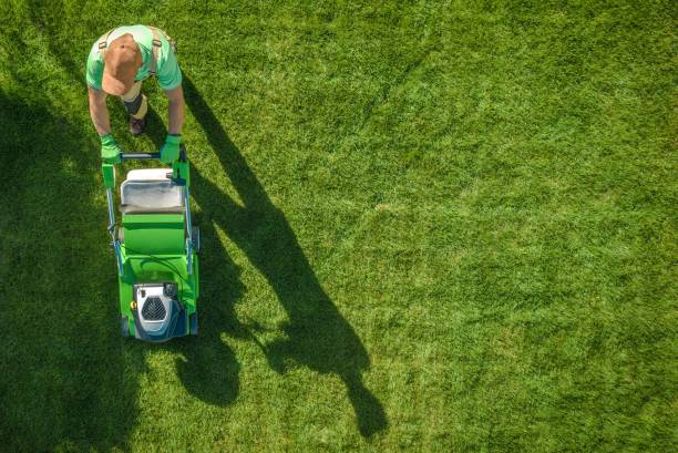 "Professional garden maintenance services revitalizing an outdoor space with lush plants, trimmed hedges, and a well-maintained lawn."