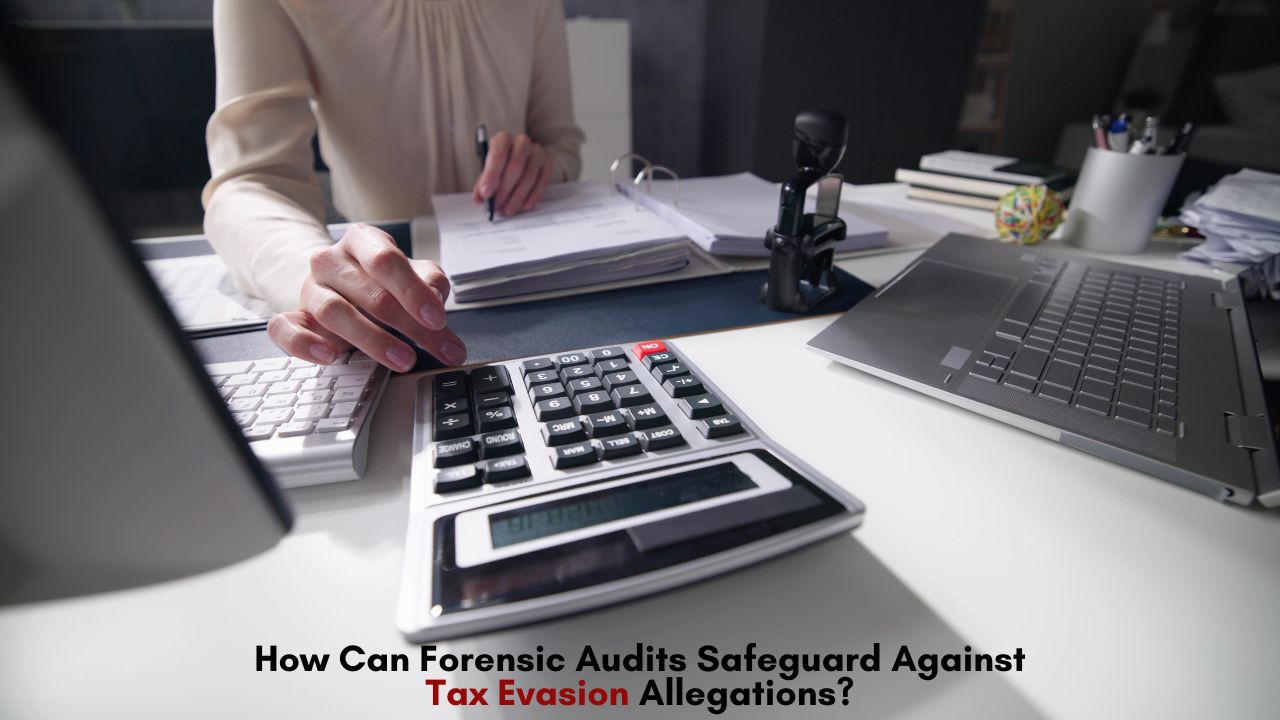 forensic audits