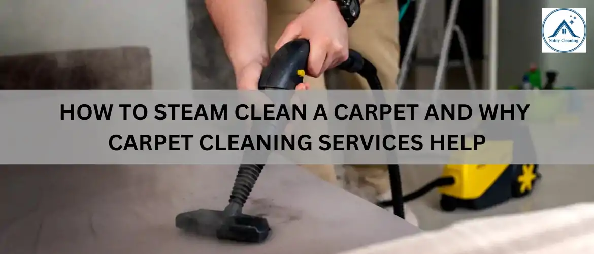 how to steam clean a carpet