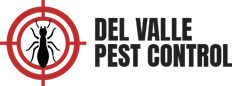 Mosquitos Control Weslaco